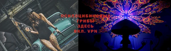 соль курить ск Ладушкин