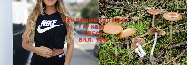 соль курить ск Ладушкин