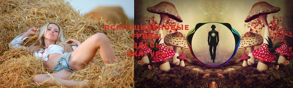 МДМА Лиски